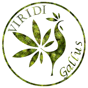 Viridi Gallus